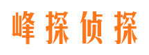 万年市调查公司